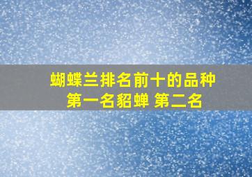 蝴蝶兰排名前十的品种 第一名貂蝉 第二名